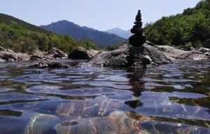 Scopri di più sull'articolo Acqua